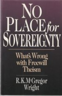 No place for sovereignty: what's wrong with freewill theism