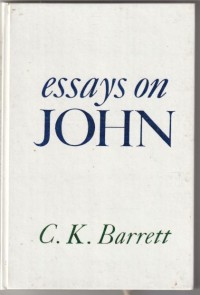 Essays on John