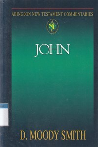 John: Abingdon new testament commentaries