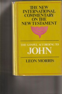 NICNT: the gospel according to John