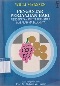 Pengantar perjanjian baru: pendekatan kritis terhadap masalah-masalahnya