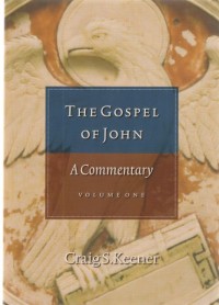 The gospel of John: a commentary volume 1