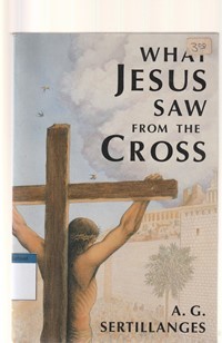 What Jesus saw from the cross